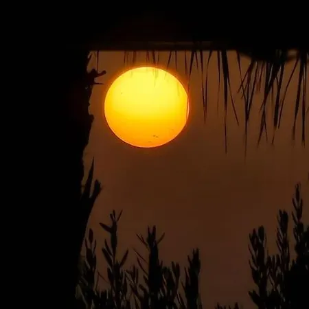 Sea Dream * Golem (Tirana)