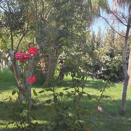 Apartamento Sea Dream